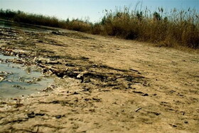 خشک شدن چهار درصد "هورالعظیم" در پنج روز گذشته/ مرگ و میر نگران‌کننده آبزیان
