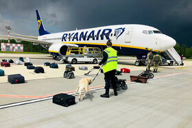 پلیس همراه سگ در حال بازرسی بار هواپیما در فرودگاه بلاروس، پس از دریافت خبر بمب گذاری در هواپیما. بمبی یافت نشد.