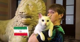 گربه‌ پیشگو نتیجه بازی ایران و مراکش را پیش‌بینی کرد
