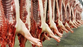 گوشت گوسفندی در بازار گران‌تر شد