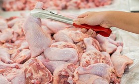 قیمت امروز گوشت مرغ در بازار تهران