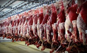 قیمت گوشت گوسفندی به 56 هزار تومان رسید