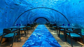 فیلم/ رستوران زیر دریا، شاهکاری در مالدیو