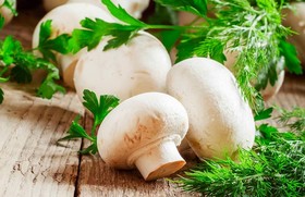 قارچ‌های موجود در بازار سمّی است؟