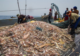 ماهیگیری چینی‌ها در آب‌های عمیق ایران تایید شد