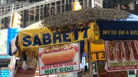 حمله زنبورها به میدان تایمز نیویورک