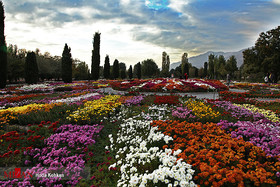 گزارش تصویری از باغی که خیلی از ایرانی‌ها هنوز به آن سر نزده‌اند