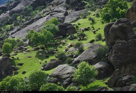 گزارش تصویری از طبیعت زیبای بهاری خرم آباد