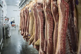 قیمت رسمی گوشت اعلام شد/ امرالهی: قیمت گوشت را بالاتر از این عدد دیدید، تخلف است