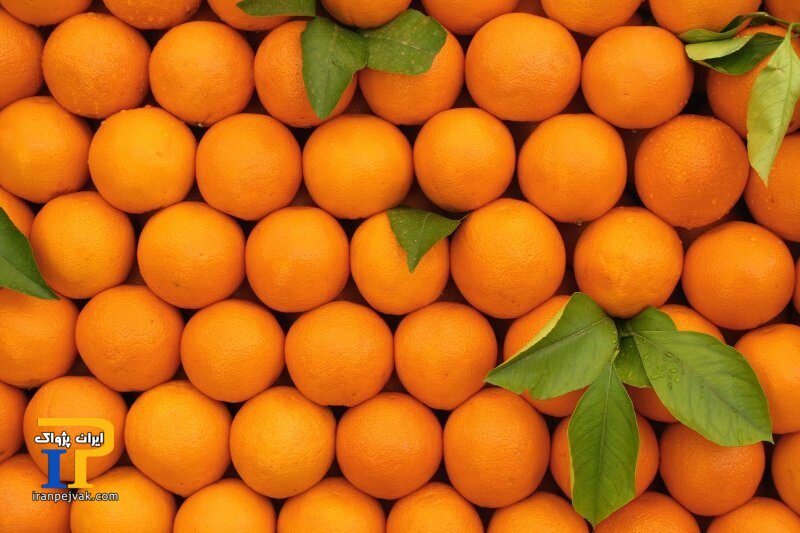 پرتقال‌