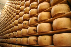 پخت پنیر در شهر ایتالیایی پارما