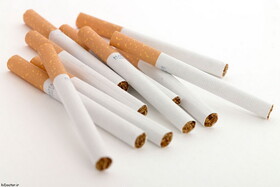 جولان سیگارهای جدید با مجوز دولتی