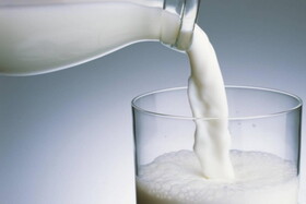 مصرف شیر پرچرب خطر چاقی در کودکان را کاهش می دهد