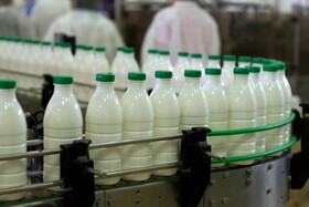 کاهش ۳۵ درصدی فروش شیر