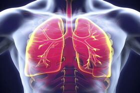 شش راهکار ساده برای تقویت ریه‌ها و دستگاه تنفسی