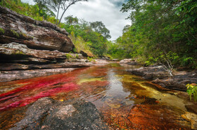 رودخانه رنگین کمان کانو کریستال در کلمبیا