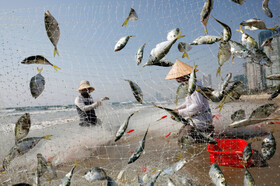 ماهیگیران ویتنام