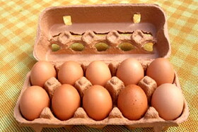 قیمت یک تخم مرغ در بازار چند؟