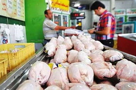 مرغ باز هم گران شد/ جدیدترین قیمت مرغ در بازار تهران