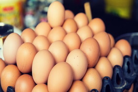 گران فروشی تخم مرغ؛ قیمت هر شانه بالای ۱۰۰ هزار تومان