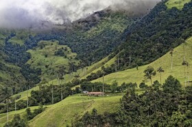 دره کوکورا در کلمبیا