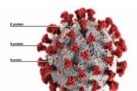 درباره سویه جدید ویروس کرونا «اومیکرون» چه می‌دانیم؟