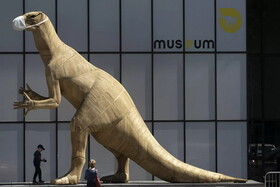 کشف تخم منحصر به فرد دایناسور در چین