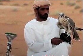 جنجال قاچاق رسمی پرندگان ایرانی با مجوز سازمان محیط زیست