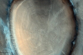 ثبت تصویرعجیبی شبیه به تنه درخت در مریخ