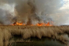 ادامه آتش‌سوزی در بخش عراقی هورالعظیم/ احتمال حرکت دوباره دود به سمت خوزستان