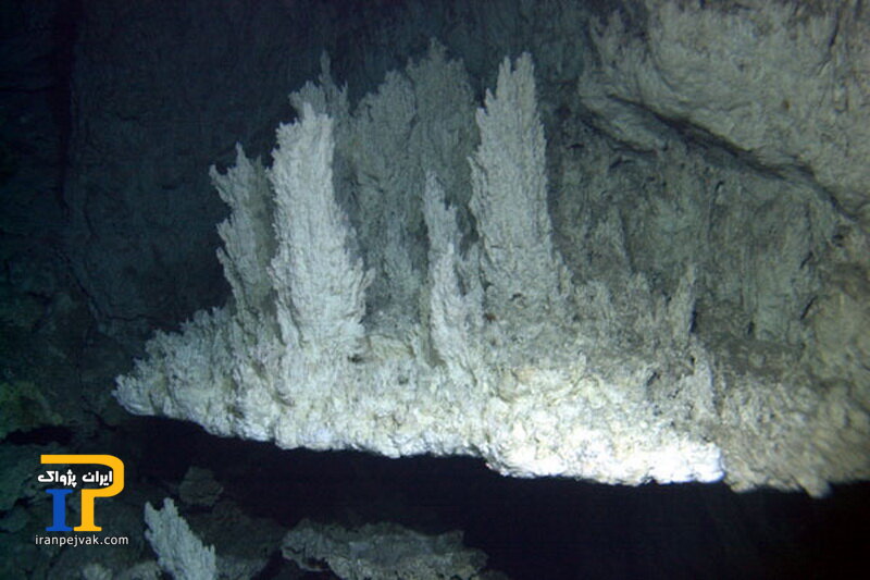 Hydrothermal Field