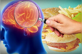 کشف ارتباط شگفت انگیز بین چاقی و مغز!