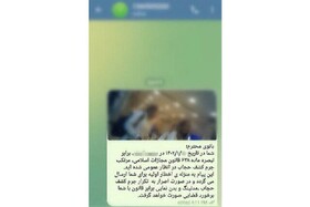 ارسال پیامک‌ پلیس به همراه عکس به ناقضان قانون حجاب