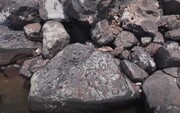 فیلم/ کشف حکاکی‌های سنگی عصر باستان در پی خشکسالی و افت سطح آب رودخانه در آمازون