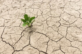 کدام نواحی ایران در معرض خشکسالی شدید هستند؟